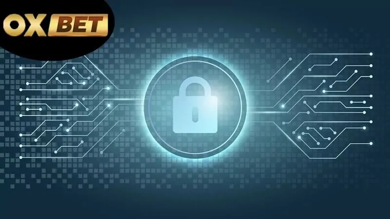 Lợi Ích Của Mã Hóa Dữ Liệu OXBET